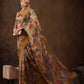Abstract Saree
