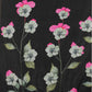 Women's Floral Digital Printed Saree