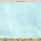 Women's Kalamkari Digital Print Soft Silk Saree