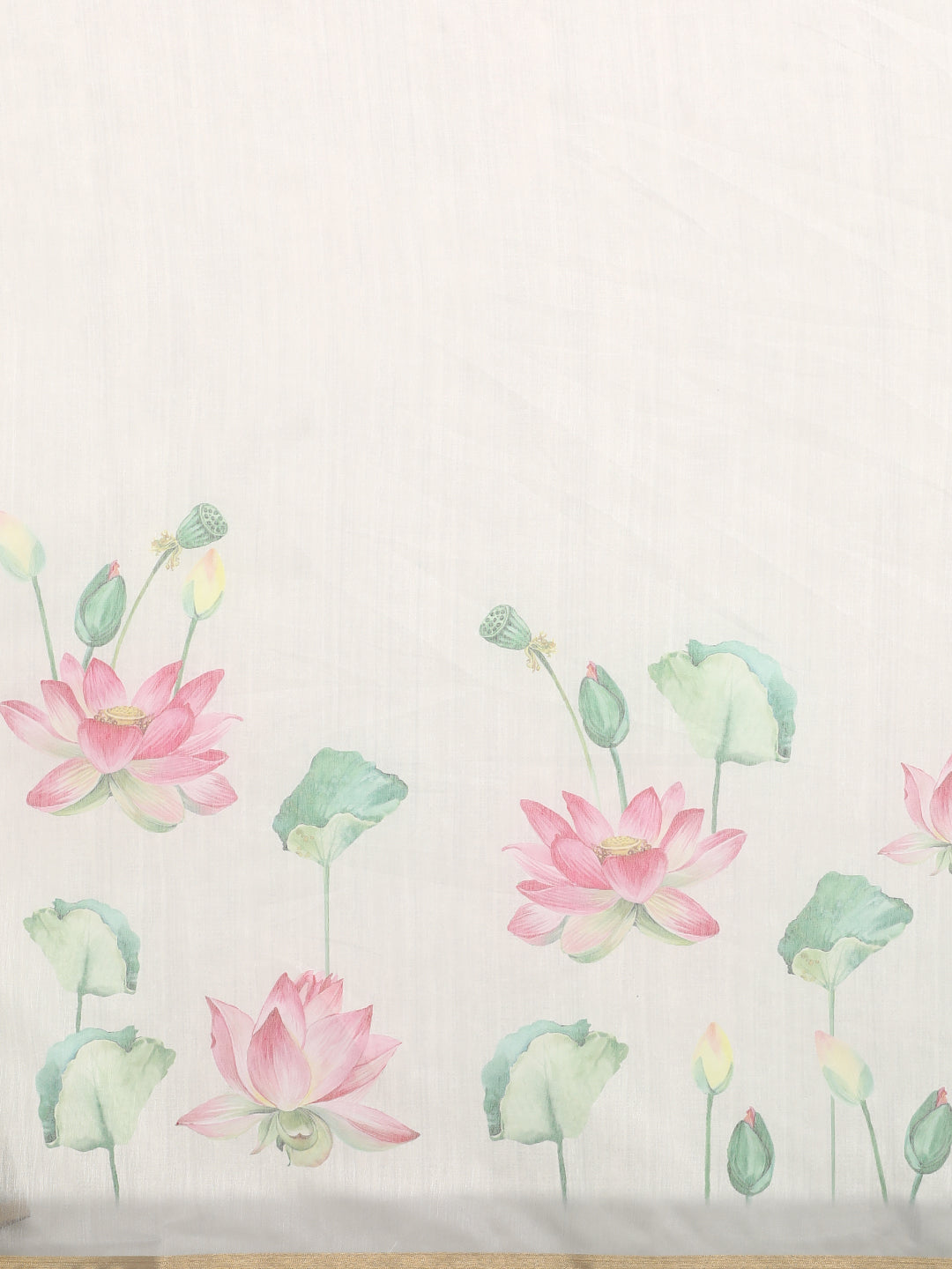 Chanderi Cotton Digital Printed Saree