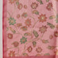 Textured Crush Tissue Saree in Earthy Palette