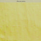 Women's Pichwai Muga Silk Digital Print Saree