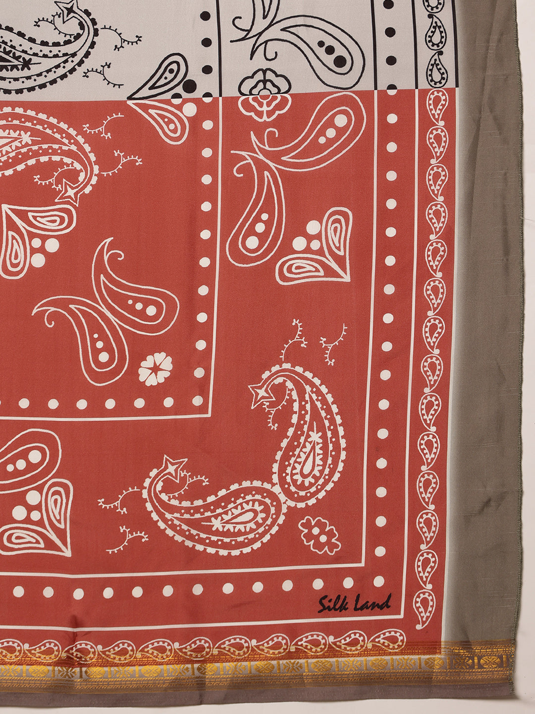 Women's Paisely Printed Silk Scarf