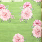 Women's Cotton Blend Floral Print Saree