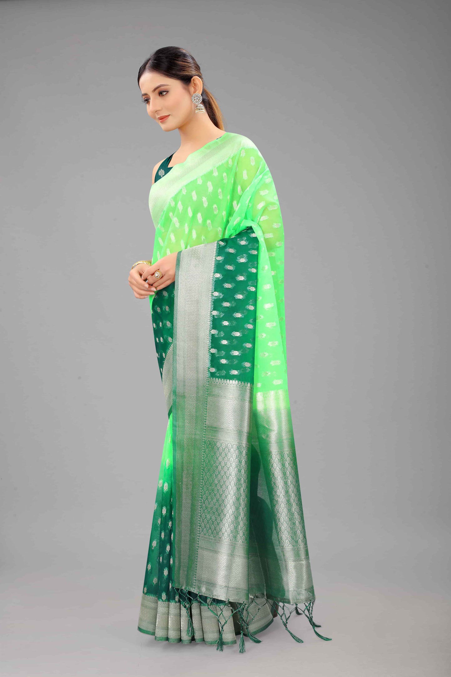 Nylon Organza Woven Design Saree