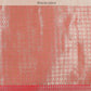 Women's Kanjiwaram Silk Woven Kasavu Saree
