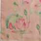Women's Printed Muga Zari Tissue Silk Saree