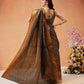 Chevron Classical Weaving Ikkat Zari Woven With Kanjivaram Border Saree