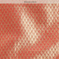 Women's Brocade Soft Silk Zari Woven Saree With Unstitched Blouse Piece