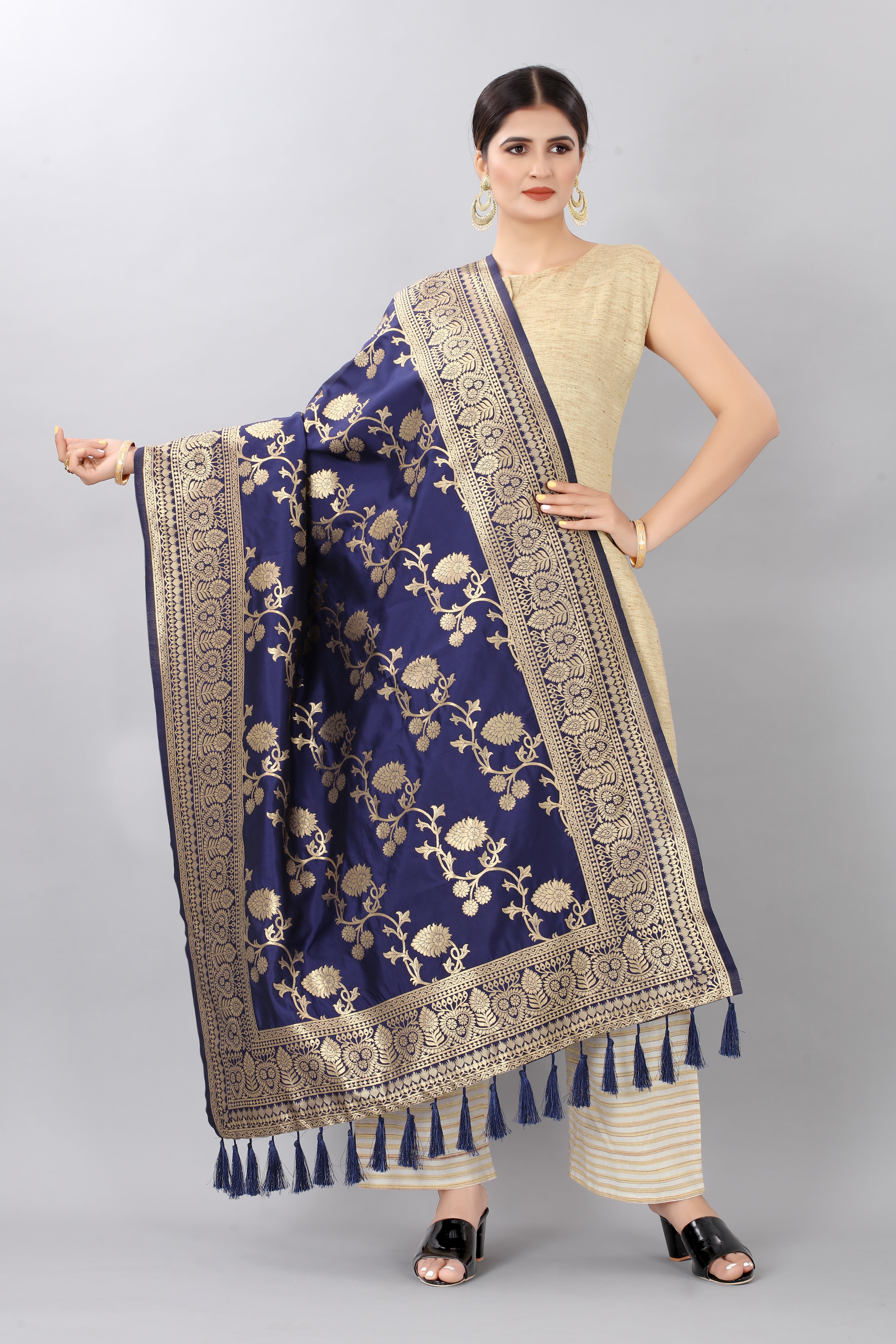 Women Navy Blue & Gold Coloured Jacquared Banarasi Dupatta
