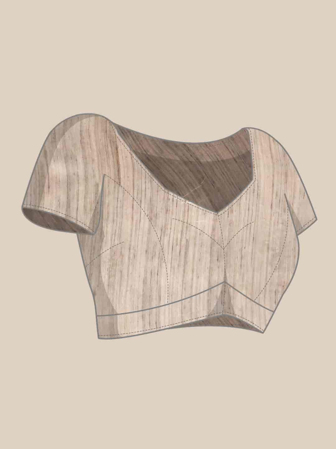 Women Kalamkari Digital Print Saree