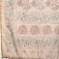Women Kalamkari Digital Print Saree