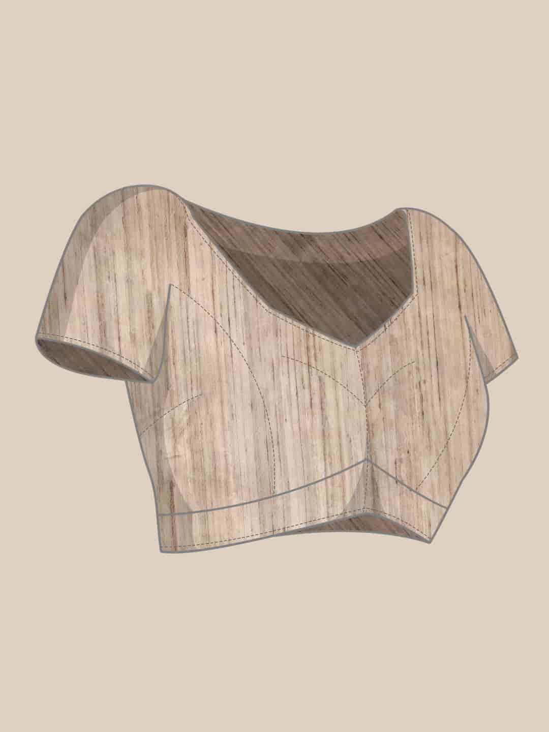 Women Kalamkari Digital Print Saree