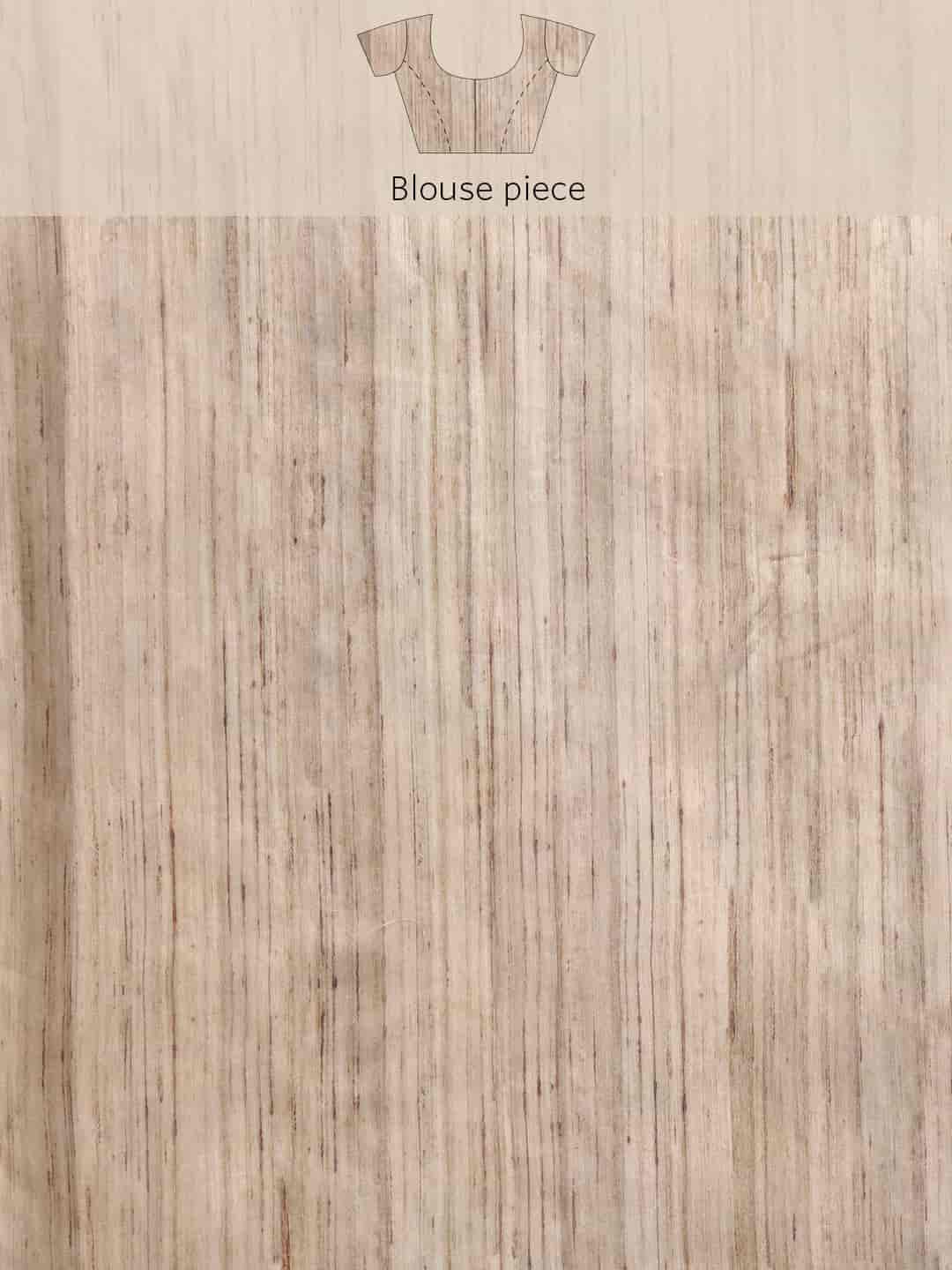 Women Kalamkari Digital Print Saree