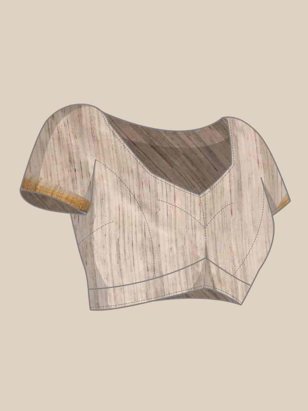 Women Kalamkari Digital Print Saree