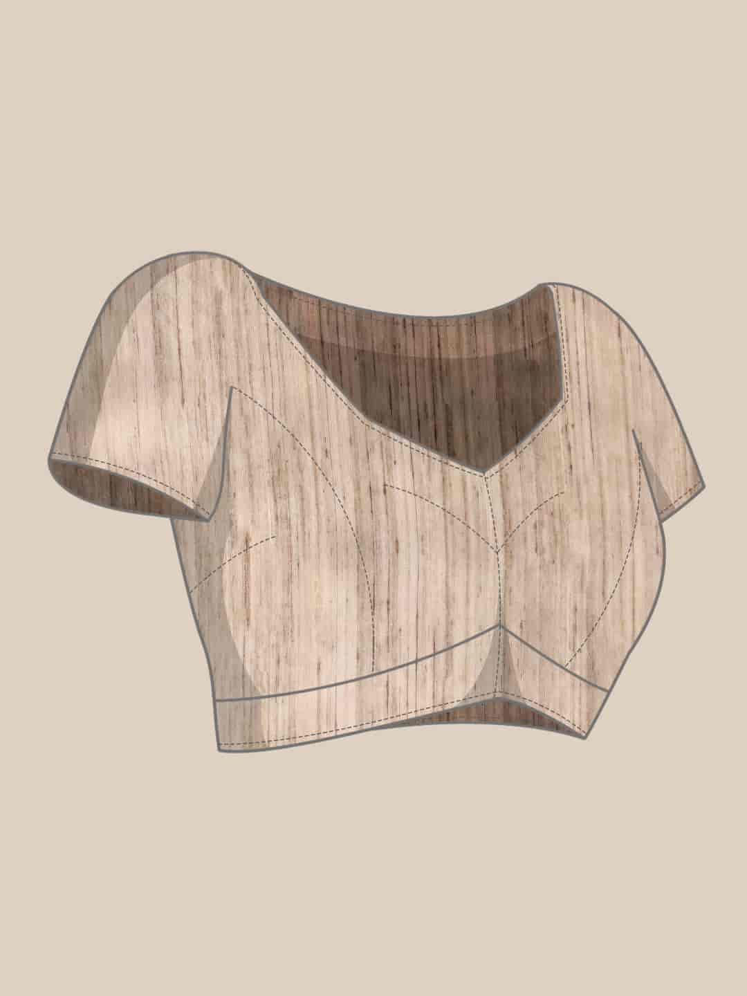 Women Kalamkari Digital Print Saree