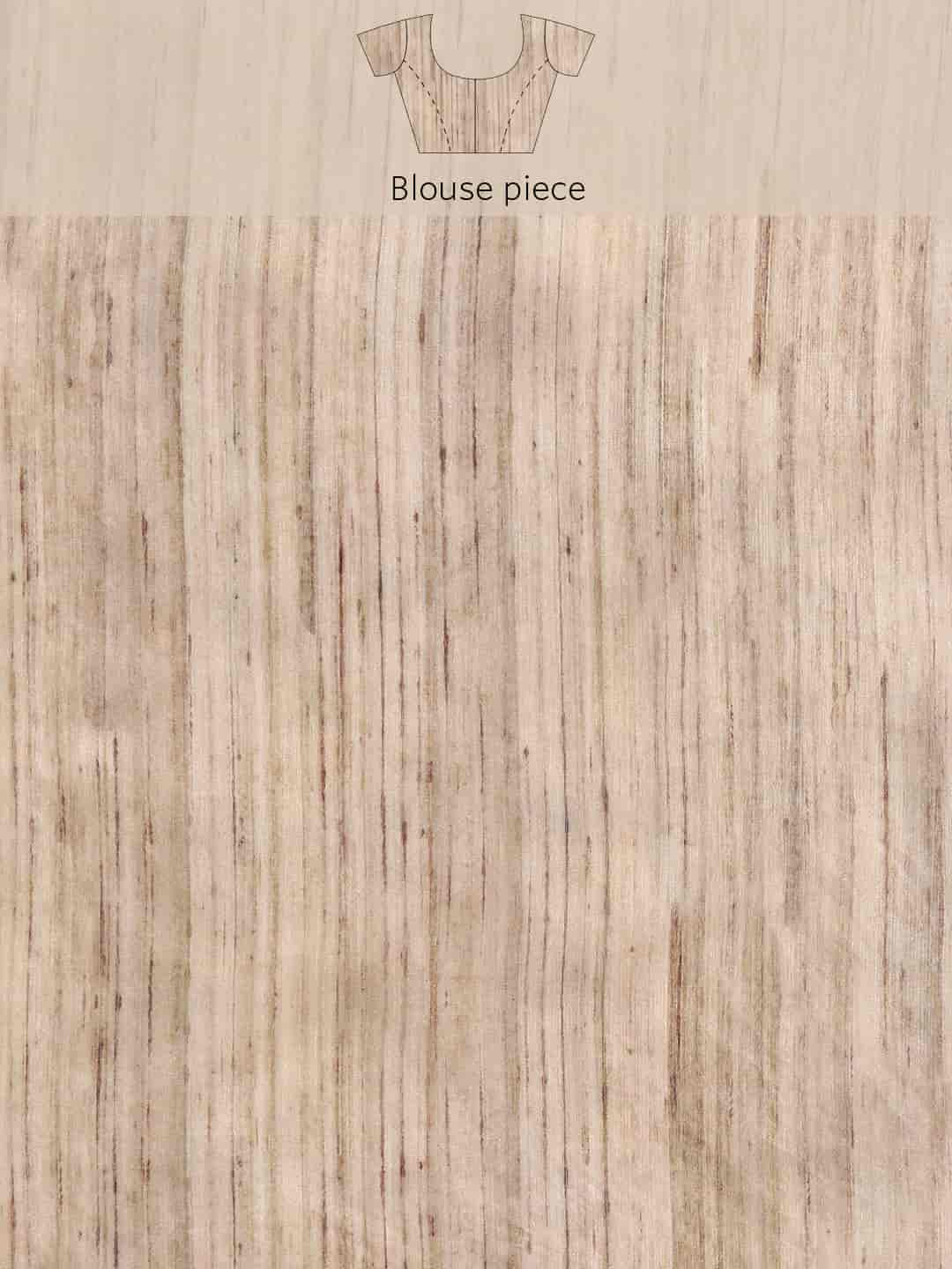 Women Kalamkari Digital Print Saree