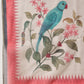 Bandhani Printed Chanderi Saree With Paithani Border