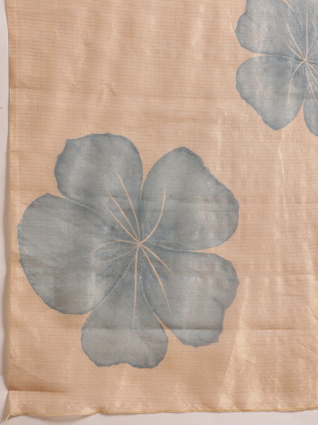 Women's Printed Muga Zari Tissue Silk Saree