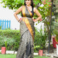 Chevron Classical Weaving Ikkat Zari Woven With Kanjivaram Border Saree